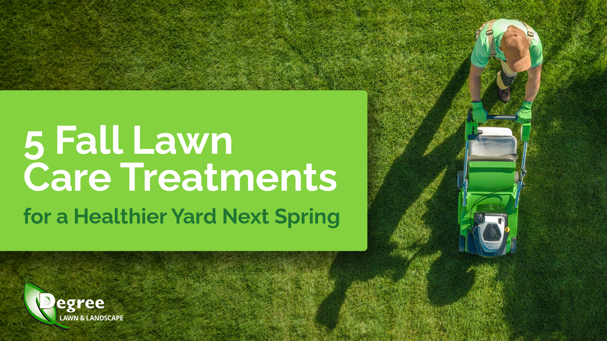 5 Fall Lawn Care Treatments for a Healthier Yard Next Spring 